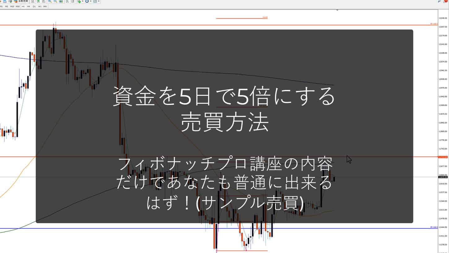 オンライントレード学習コース フィボナッチプロ講座 25 サンプル動画後編:海外FXハイレバ実演企画