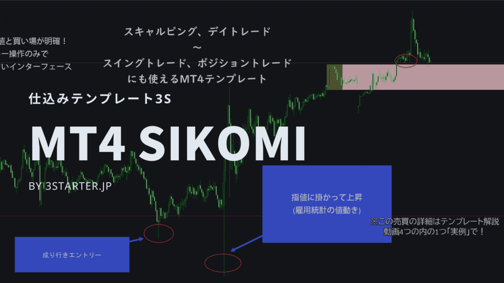 解説3 手法の概念など(3S)