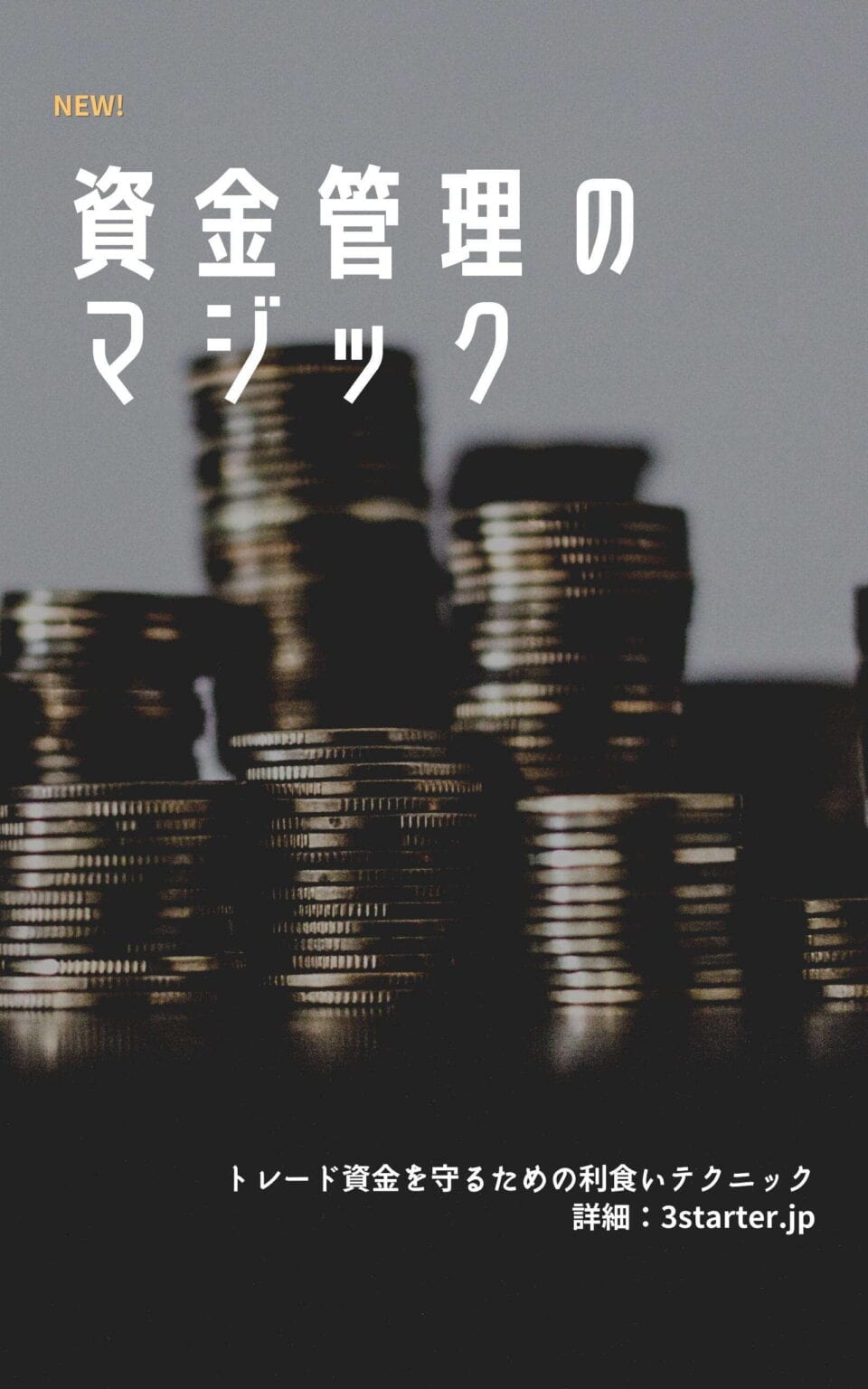 ライントレーダーズ通信専用コース(5大無料コース) 41 資金管理のマジック&補足テキスト