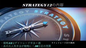 strategy12