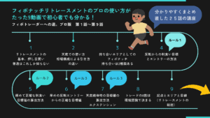 フィボトレーダーへの道。プロ版1-9