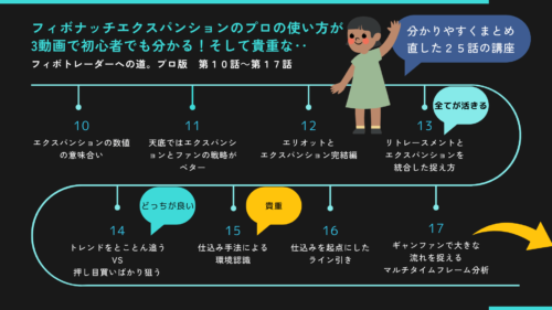 フィボトレーダーへの道。プロ版10-17