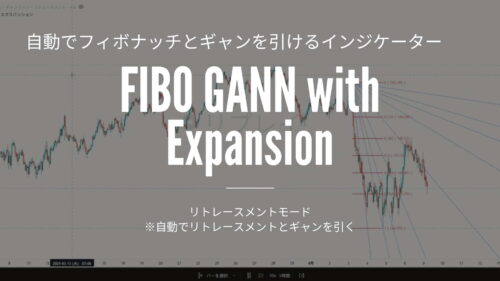 フィボギャンの紹介